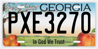 GA license plate PXE3270