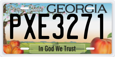 GA license plate PXE3271