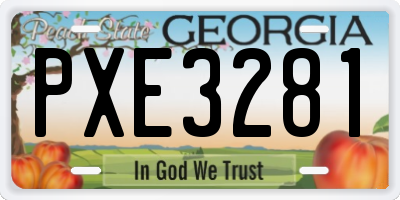 GA license plate PXE3281
