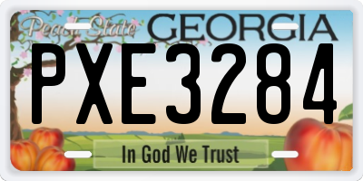 GA license plate PXE3284