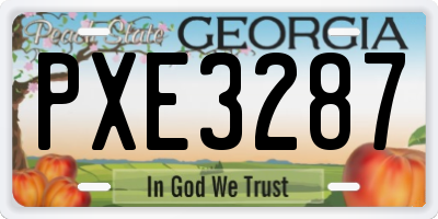GA license plate PXE3287