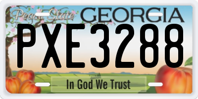 GA license plate PXE3288