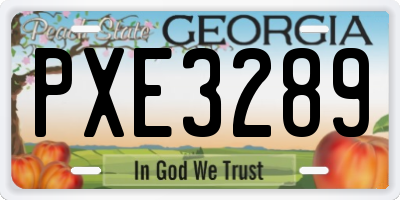 GA license plate PXE3289