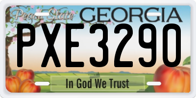 GA license plate PXE3290