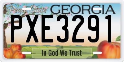 GA license plate PXE3291