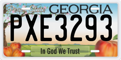 GA license plate PXE3293