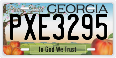 GA license plate PXE3295