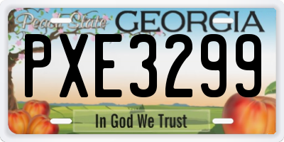 GA license plate PXE3299