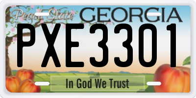 GA license plate PXE3301