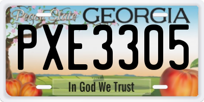 GA license plate PXE3305