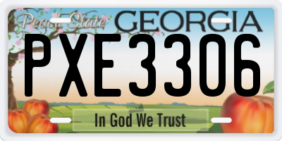 GA license plate PXE3306