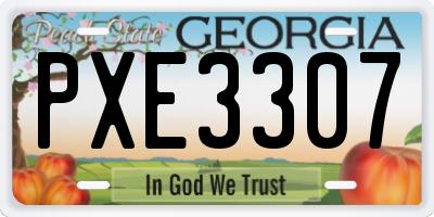 GA license plate PXE3307