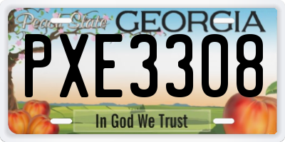 GA license plate PXE3308