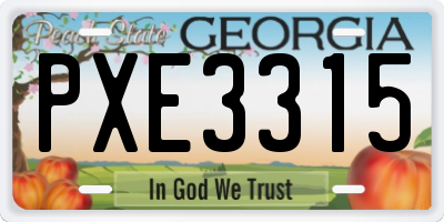 GA license plate PXE3315