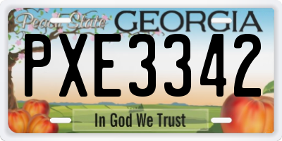 GA license plate PXE3342