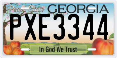 GA license plate PXE3344