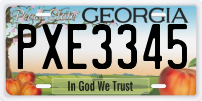 GA license plate PXE3345