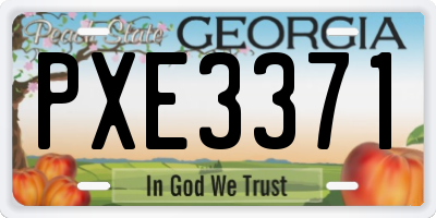 GA license plate PXE3371