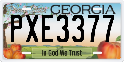 GA license plate PXE3377