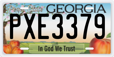 GA license plate PXE3379