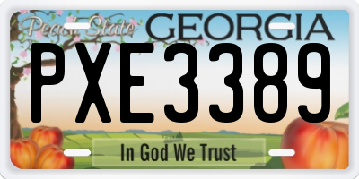 GA license plate PXE3389