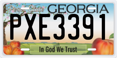 GA license plate PXE3391