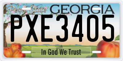 GA license plate PXE3405