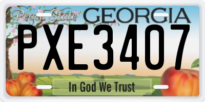 GA license plate PXE3407