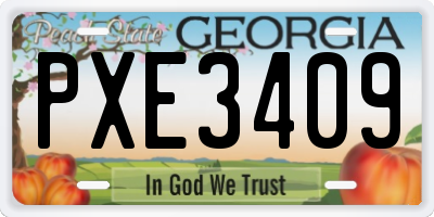 GA license plate PXE3409