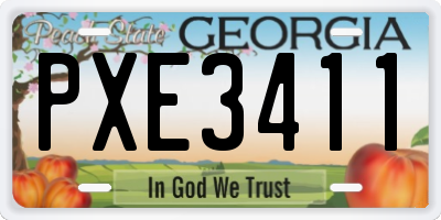GA license plate PXE3411