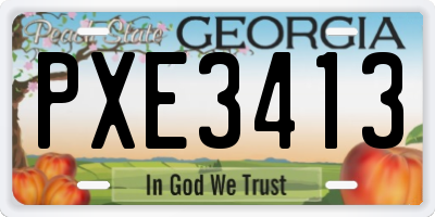 GA license plate PXE3413