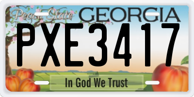 GA license plate PXE3417