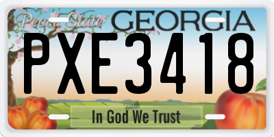 GA license plate PXE3418