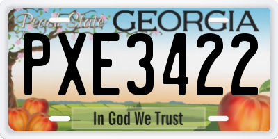 GA license plate PXE3422