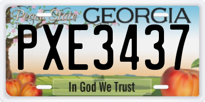 GA license plate PXE3437