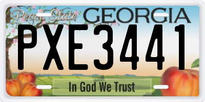 GA license plate PXE3441