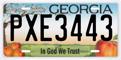 GA license plate PXE3443