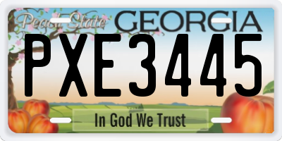 GA license plate PXE3445
