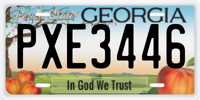 GA license plate PXE3446