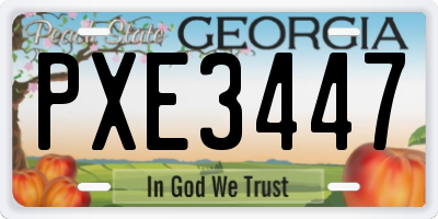 GA license plate PXE3447