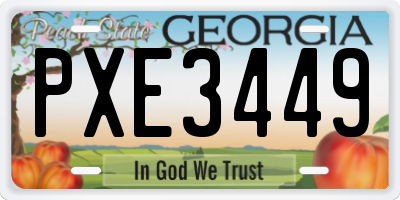 GA license plate PXE3449