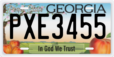 GA license plate PXE3455