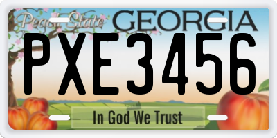 GA license plate PXE3456