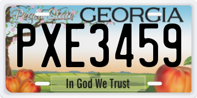 GA license plate PXE3459