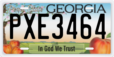GA license plate PXE3464