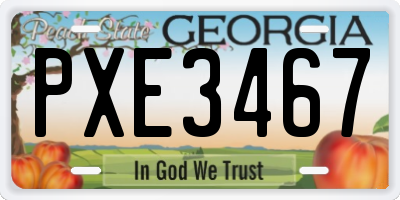 GA license plate PXE3467
