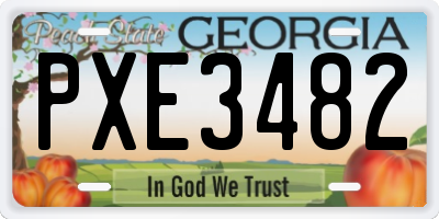 GA license plate PXE3482