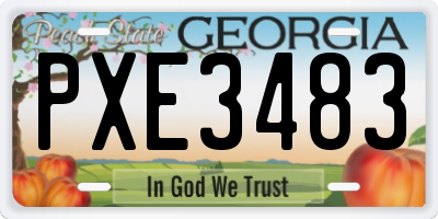 GA license plate PXE3483