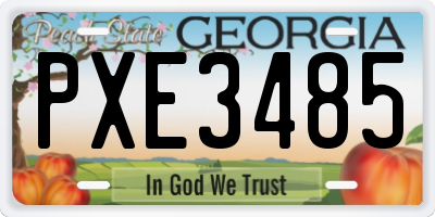 GA license plate PXE3485