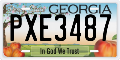 GA license plate PXE3487